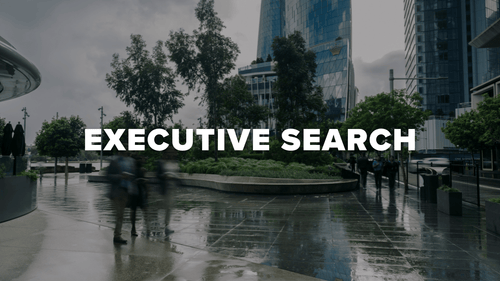Executive Search